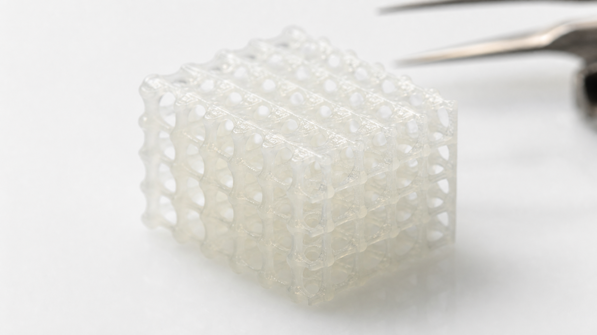 Cartilage scaffold